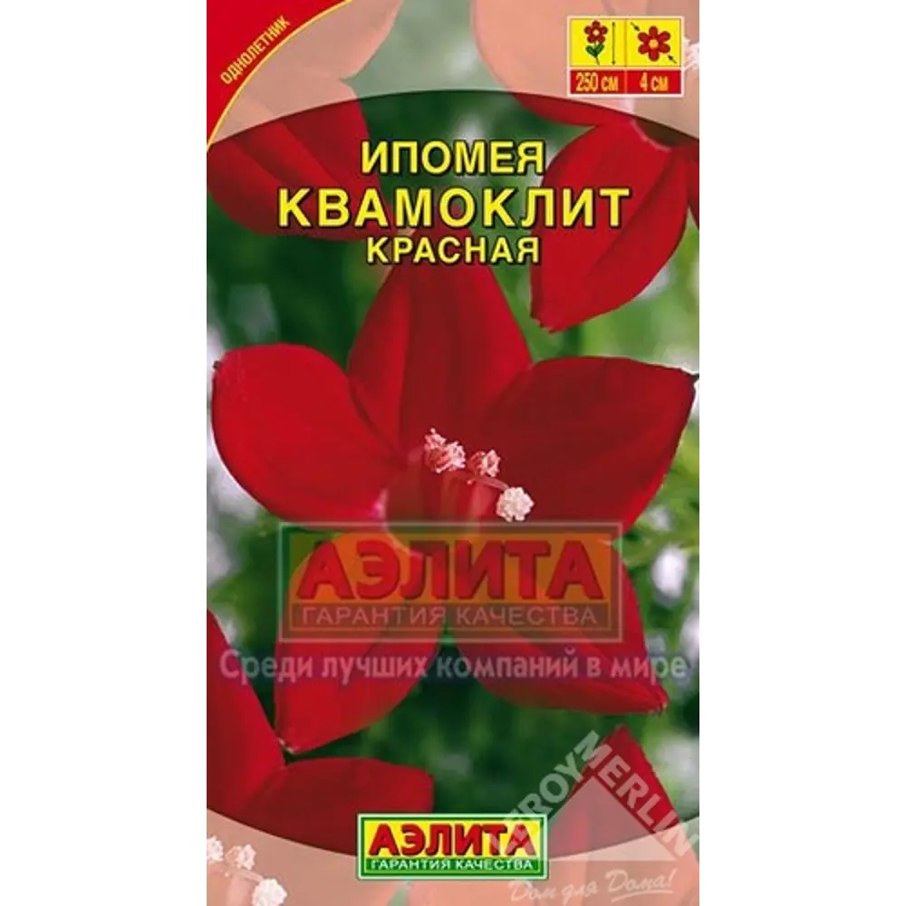 Семена цветов Ипомея Квамоклит красная Аэлита ✳️ купить по цене 17 ₽/шт. в  Москве с доставкой в интернет-магазине Леруа Мерлен