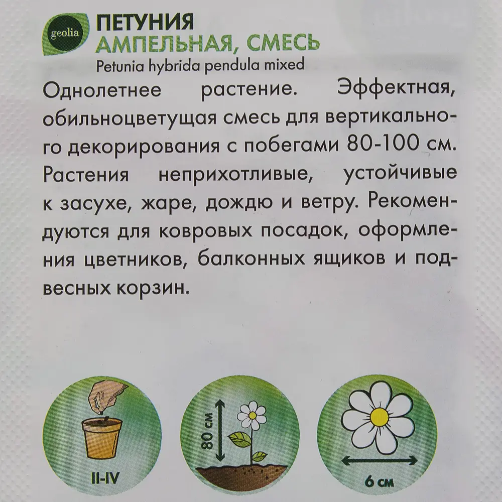 Петуния ампельная Geolia смесь окрасок ? купить по цене 23 ?/шт. в Кирове  с доставкой в интернет-магазине Лемана ПРО (Леруа Мерлен)