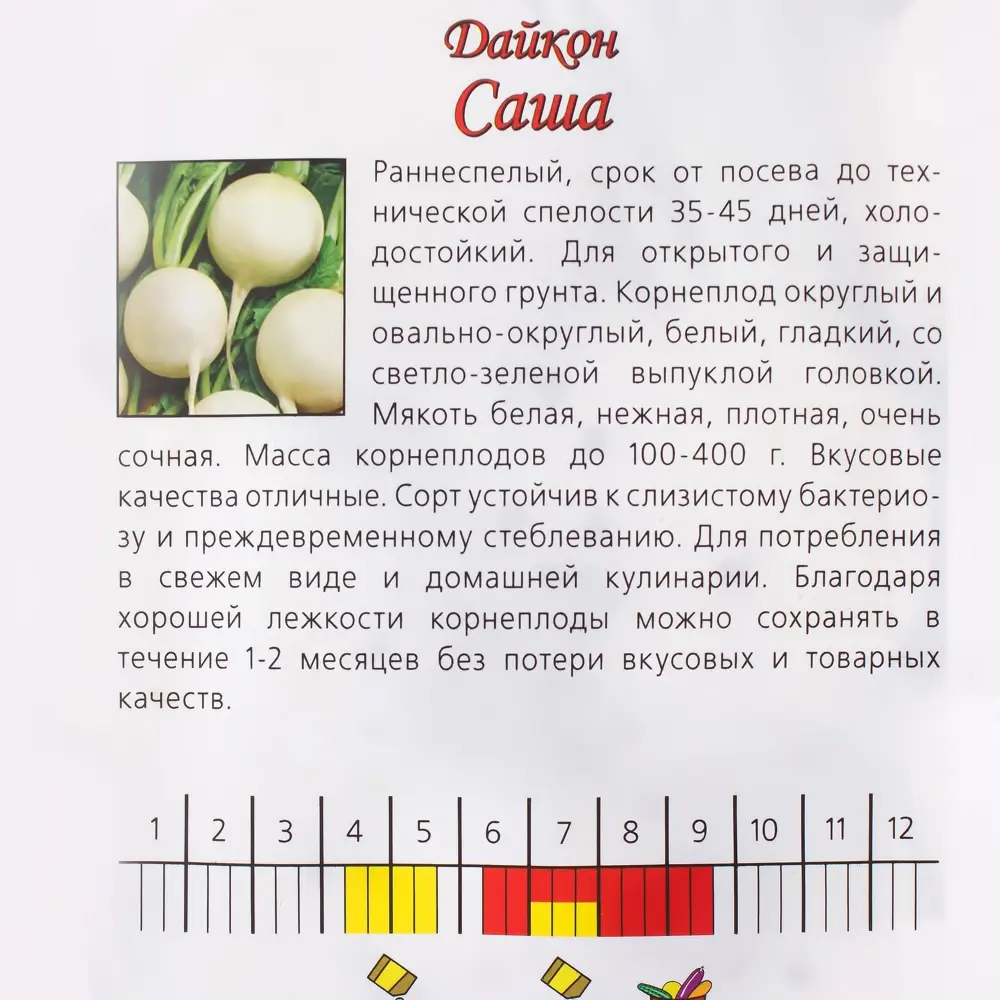 Когда сеять дайкон в открытый грунт. Дайкон Саша. Семена. Дайкон "Саша". Семена дайкона Саша. Дайкон Саша описание.