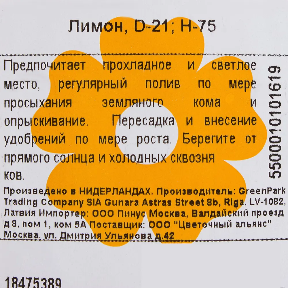 Лимон 21x75 см ✳️ купить по цене 3726 ₽/шт. в Челябинске с доставкой в  интернет-магазине Леруа Мерлен