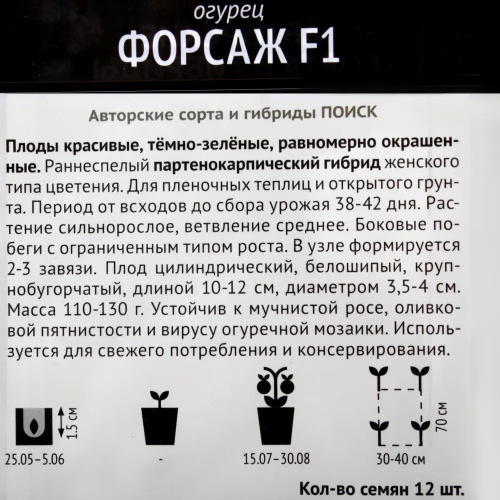 Семена Огурец «Форсаж» F1 ✳️ купить по цене 45 ₽/шт. в Санкт-Петербурге с  доставкой в интернет-магазине Леруа Мерлен