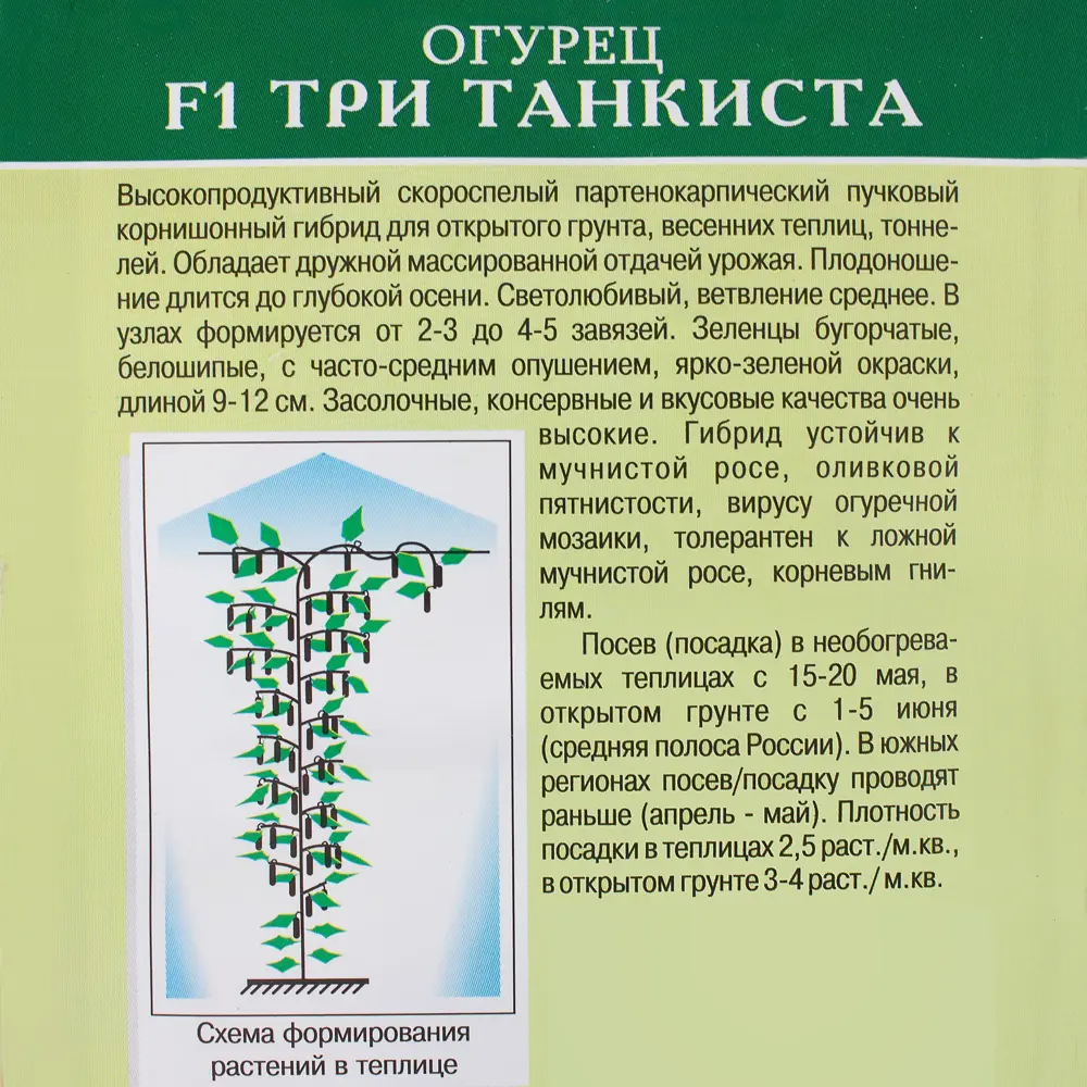 Огурец «Три танкиста» F1 ✳️ купить по цене 27 ₽/шт. в Рязани с доставкой в  интернет-магазине Леруа Мерлен