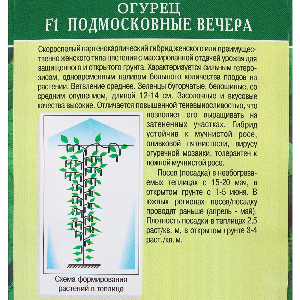 Огурец «Подмосковные вечера» F1 ✳️ купить по цене 27 ₽/шт. в Москве с  доставкой в интернет-магазине Леруа Мерлен