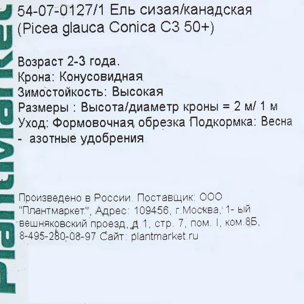 Ель канадская «Коника» C3, 50+ см ✳️ купить по цене 1798 ₽/шт. в Туле с  доставкой в интернет-магазине Леруа Мерлен