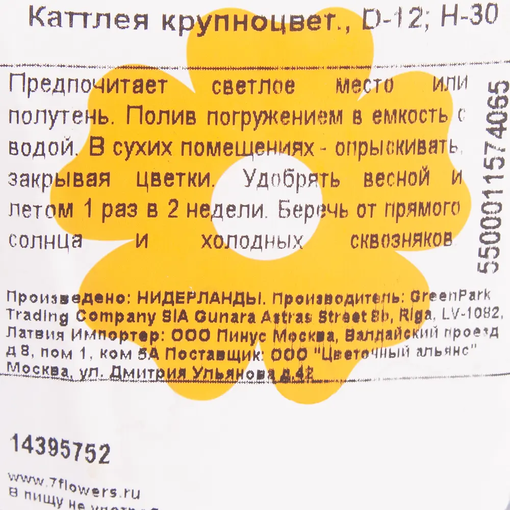 Орхидея Каттлея крупноцветковая ø12 h30 см ✳️ купить по цене 1070 ₽/шт. в  Саратове с доставкой в интернет-магазине Леруа Мерлен