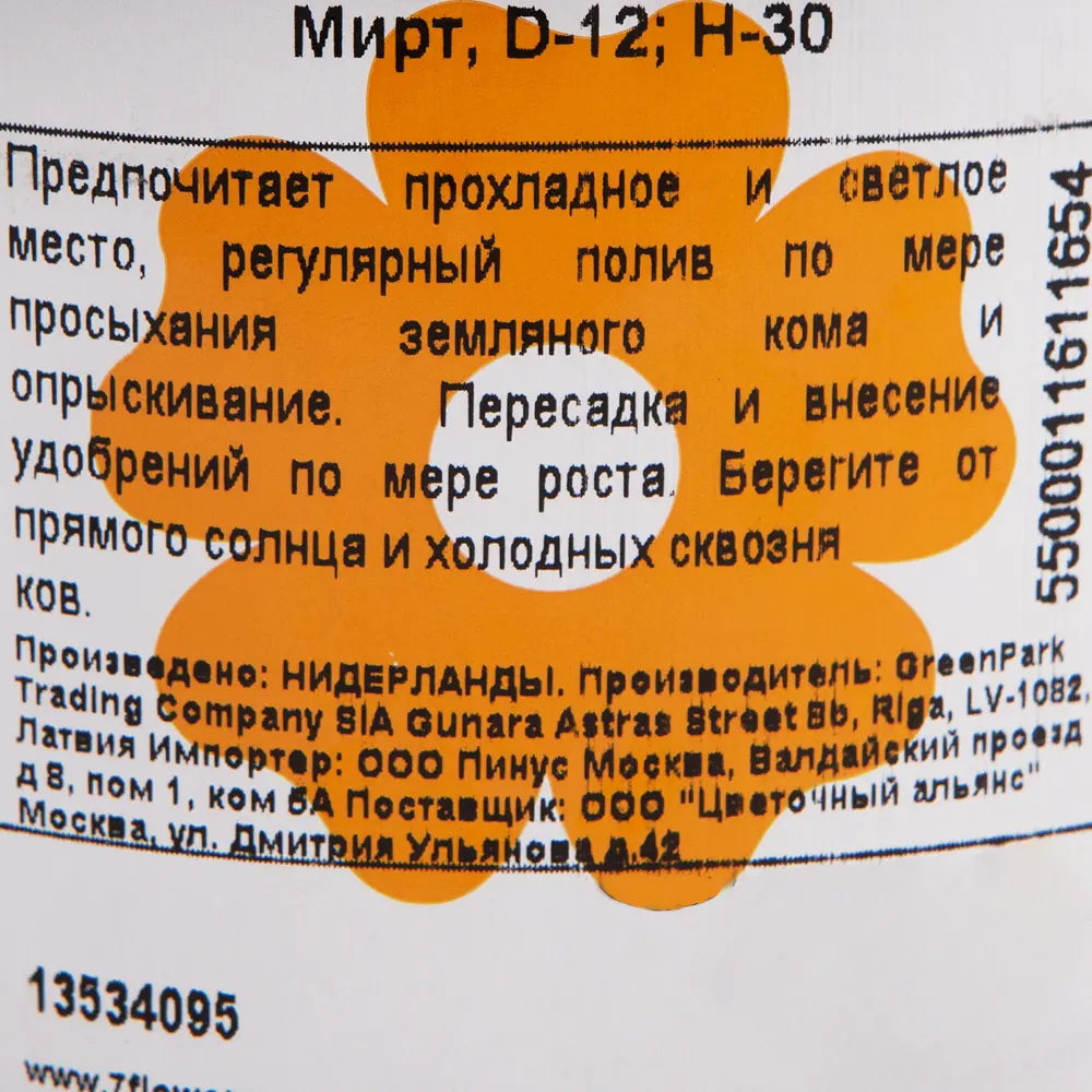 Мирт 12x30 см ✳️ купить по цене 1333 ₽/шт. в Ставрополе с доставкой в  интернет-магазине Леруа Мерлен