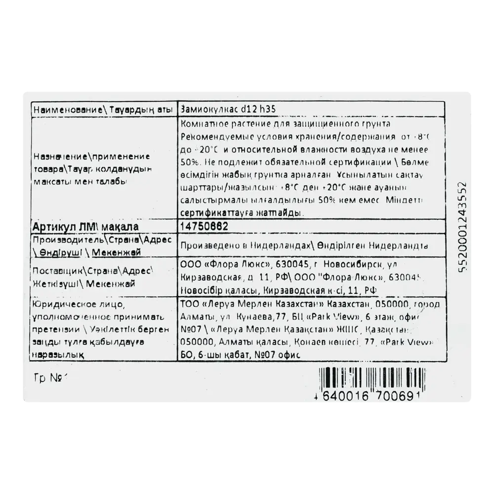 Замиокулькас замифолия 12x30 см ? купить по цене 1222 ?/шт. в Ярославле с  доставкой в интернет-магазине Леруа Мерлен