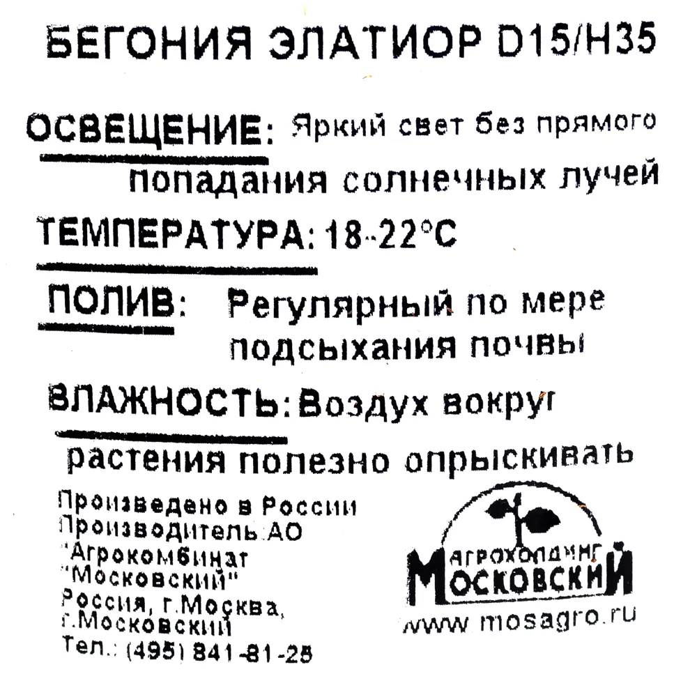 Бегония «Элатиор» 15x35 см ✳️ купить по цене 498 ₽/шт. в Туле с доставкой в  интернет-магазине Леруа Мерлен