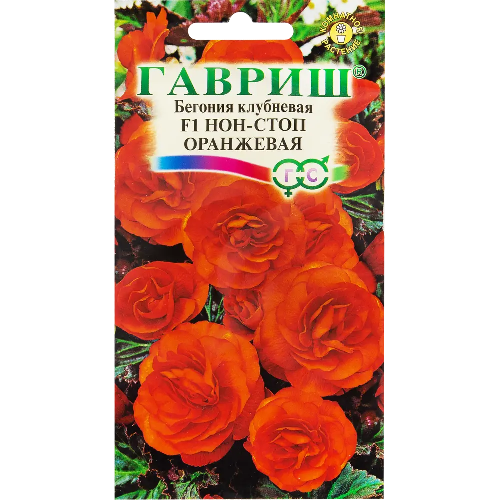 Бегония гранулированная «Нон-стоп» оранжевая, 4 шт. ✳️ купить по цене 63  ₽/шт. в Кирове с доставкой в интернет-магазине Леруа Мерлен