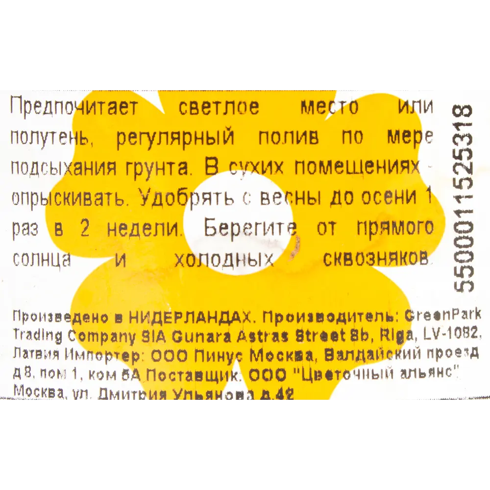 Кофе арабика ø12 h25 см Центр букетов ✳️ купить по цене 955 ₽/шт. в Тюмени  с доставкой в интернет-магазине Леруа Мерлен