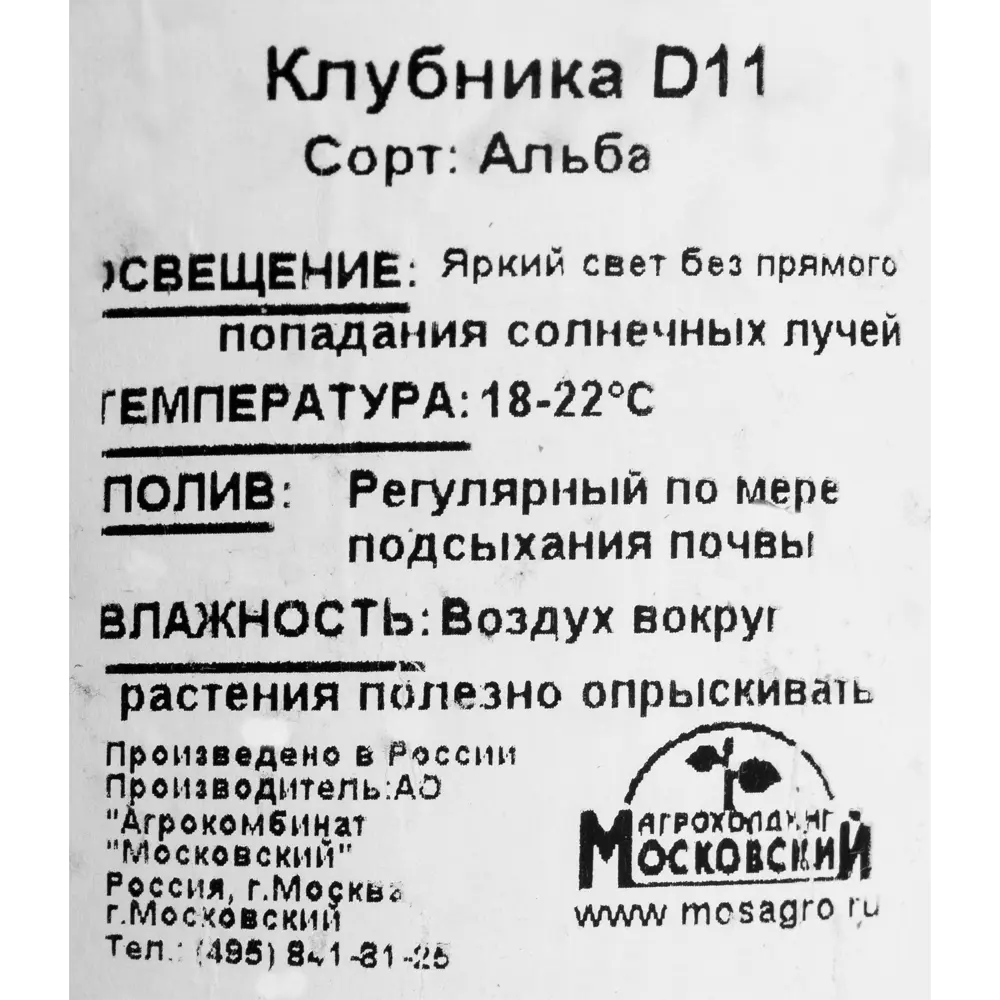 Клубника, диаметр 11 см ✳️ купить по цене 455 ₽/шт. в Волгограде с доставкой  в интернет-магазине Леруа Мерлен