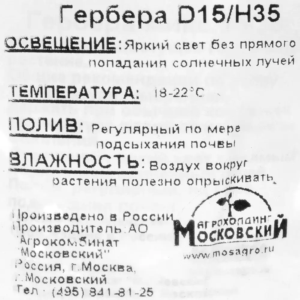 Гербера 15x35 см ✳️ купить по цене 577 ₽/шт. в Казани с доставкой в  интернет-магазине Леруа Мерлен