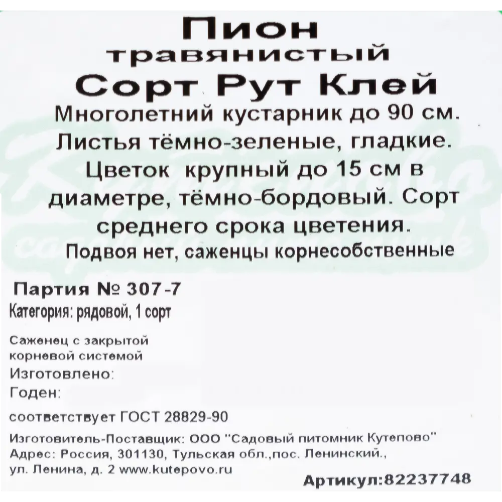 Пион травянистый красноцветущий «Рут Клей» С2 см ✳️ купить по цене 472  ₽/шт. в Барнауле с доставкой в интернет-магазине Леруа Мерлен