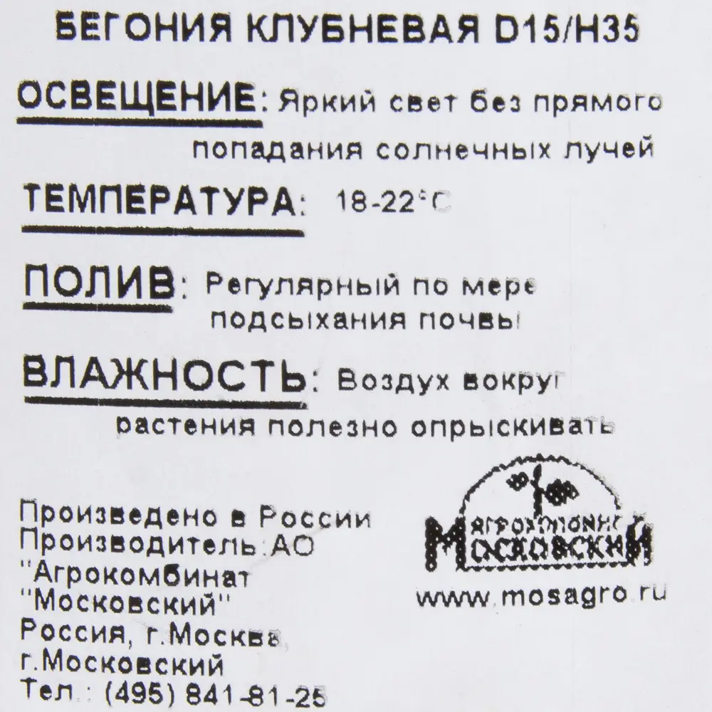 Бегония клубневая 15x35 см ✳️ купить по цене 533 ₽/шт. в Ижевске с  доставкой в интернет-магазине Леруа Мерлен