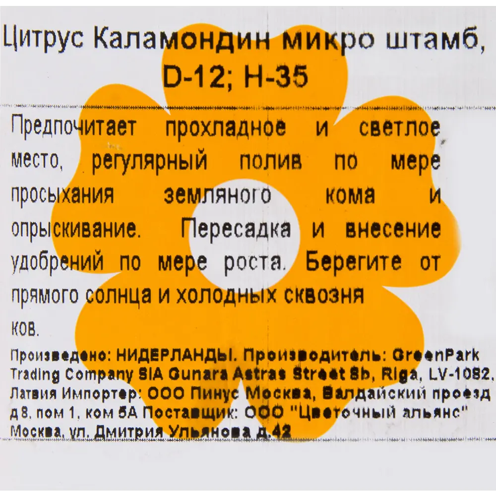 Цитрус Каламондин микро штамб 12х30 см ✳️ купить по цене 1755 ₽/шт. в  Ростове-на-Дону с доставкой в интернет-магазине Леруа Мерлен