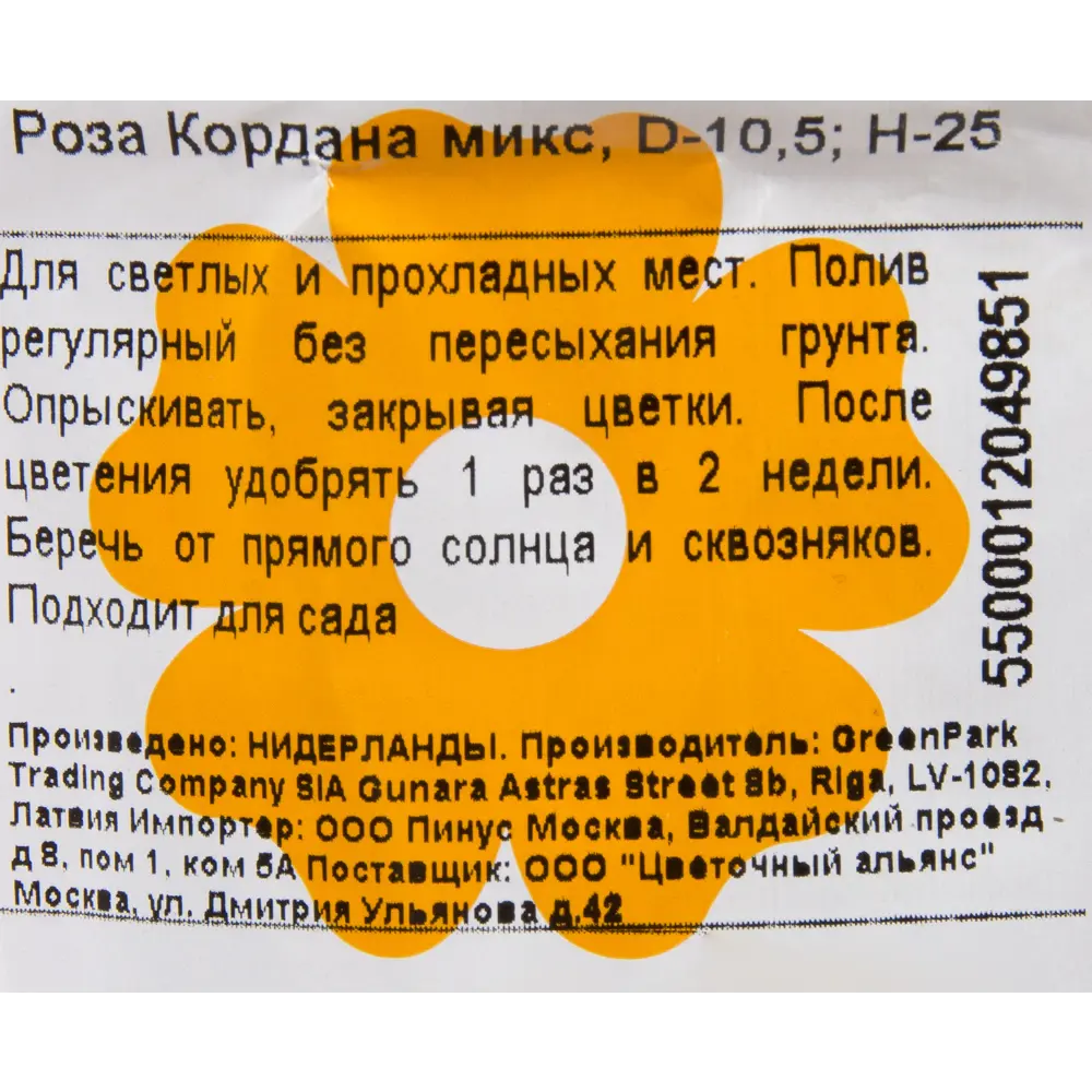 Роза Кордана микс 10x25 см ✳️ купить по цене 998 ₽/шт. в Ставрополе с  доставкой в интернет-магазине Леруа Мерлен