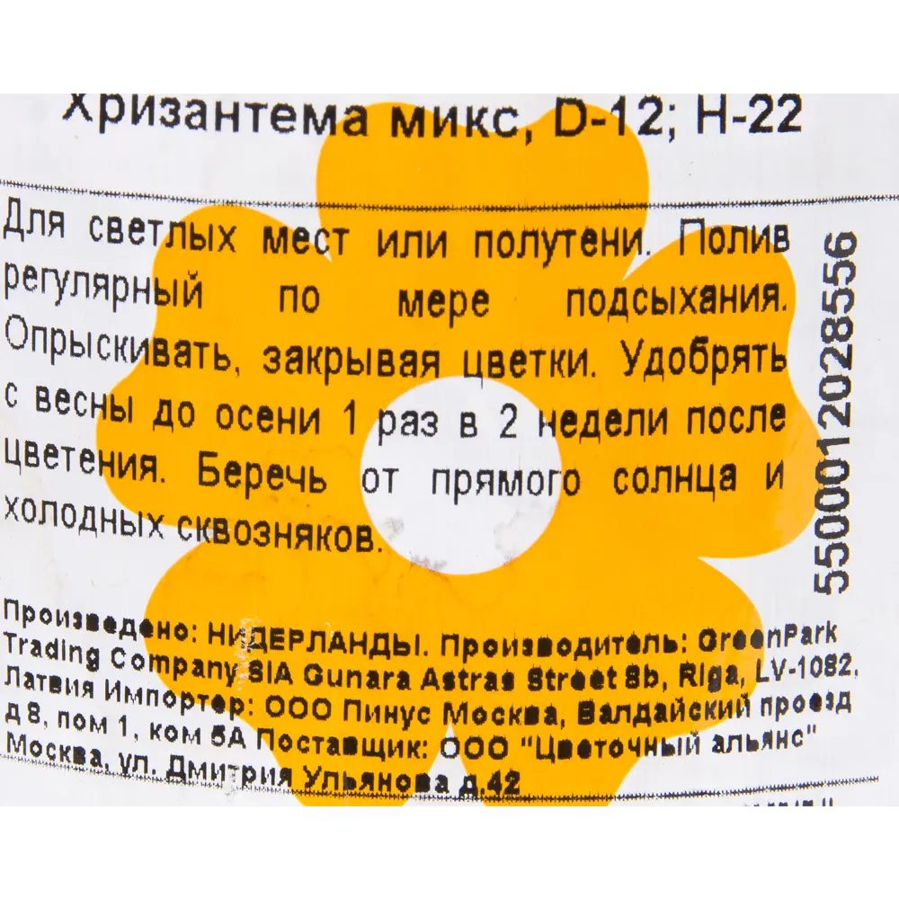 Хризантема микс 12x25 см ✳️ купить по цене 633 ₽/шт. в Кирове с доставкой в  интернет-магазине Леруа Мерлен