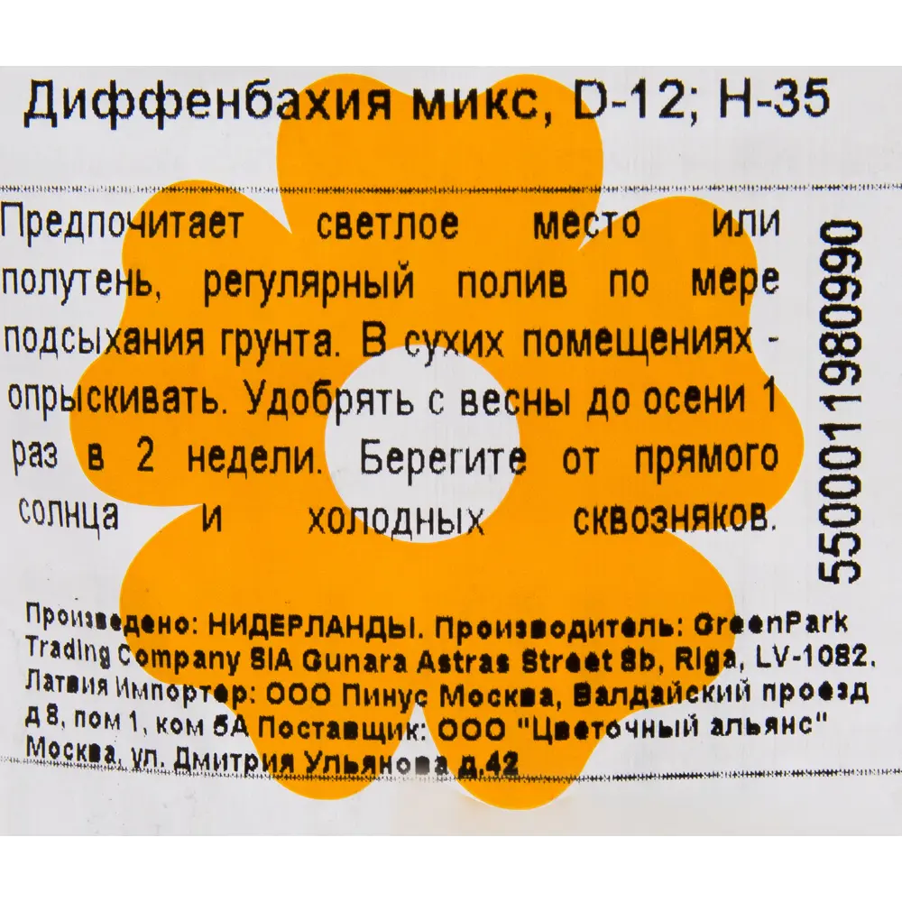 Диффенбахия микс 12x35см ✳️ купить по цене 998 ₽/шт. в Нижнем Новгороде с  доставкой в интернет-магазине Леруа Мерлен