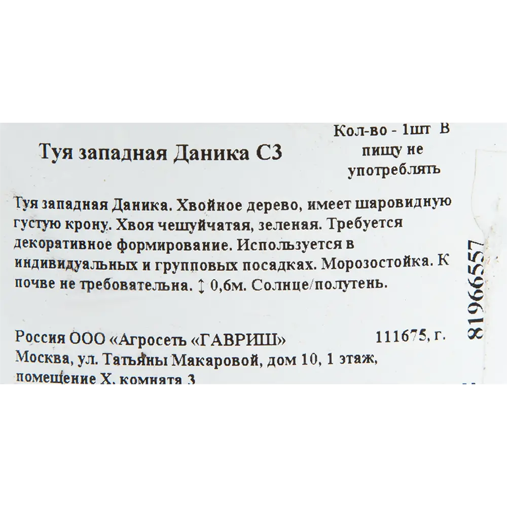 Туя западная даника С3 ✳️ купить по цене 1222 ₽/шт. в Москве с доставкой в  интернет-магазине Леруа Мерлен