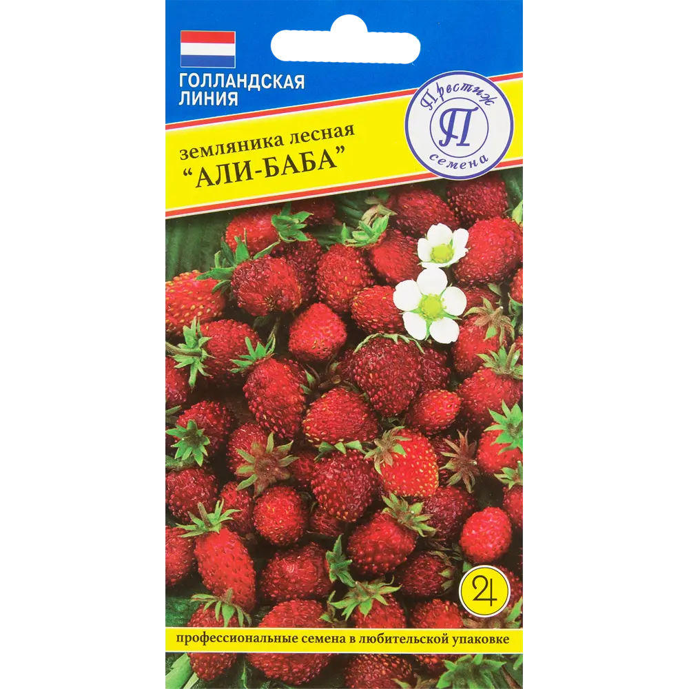 Земляника лесная «Али-Баба» ✳️ купить по цене 41 ₽/шт. в Москве с доставкой  в интернет-магазине Леруа Мерлен