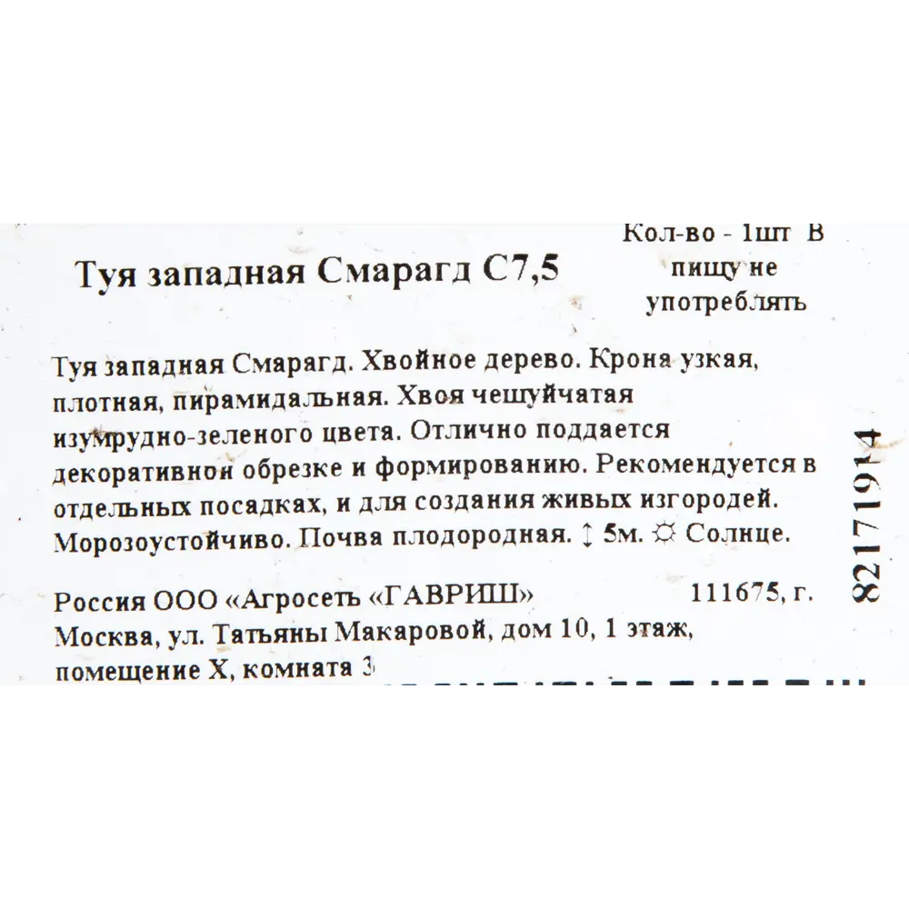 Туя западная «Смарагд» C7.5 ✳️ купить по цене 2333 ₽/шт. в Москве с  доставкой в интернет-магазине Леруа Мерлен