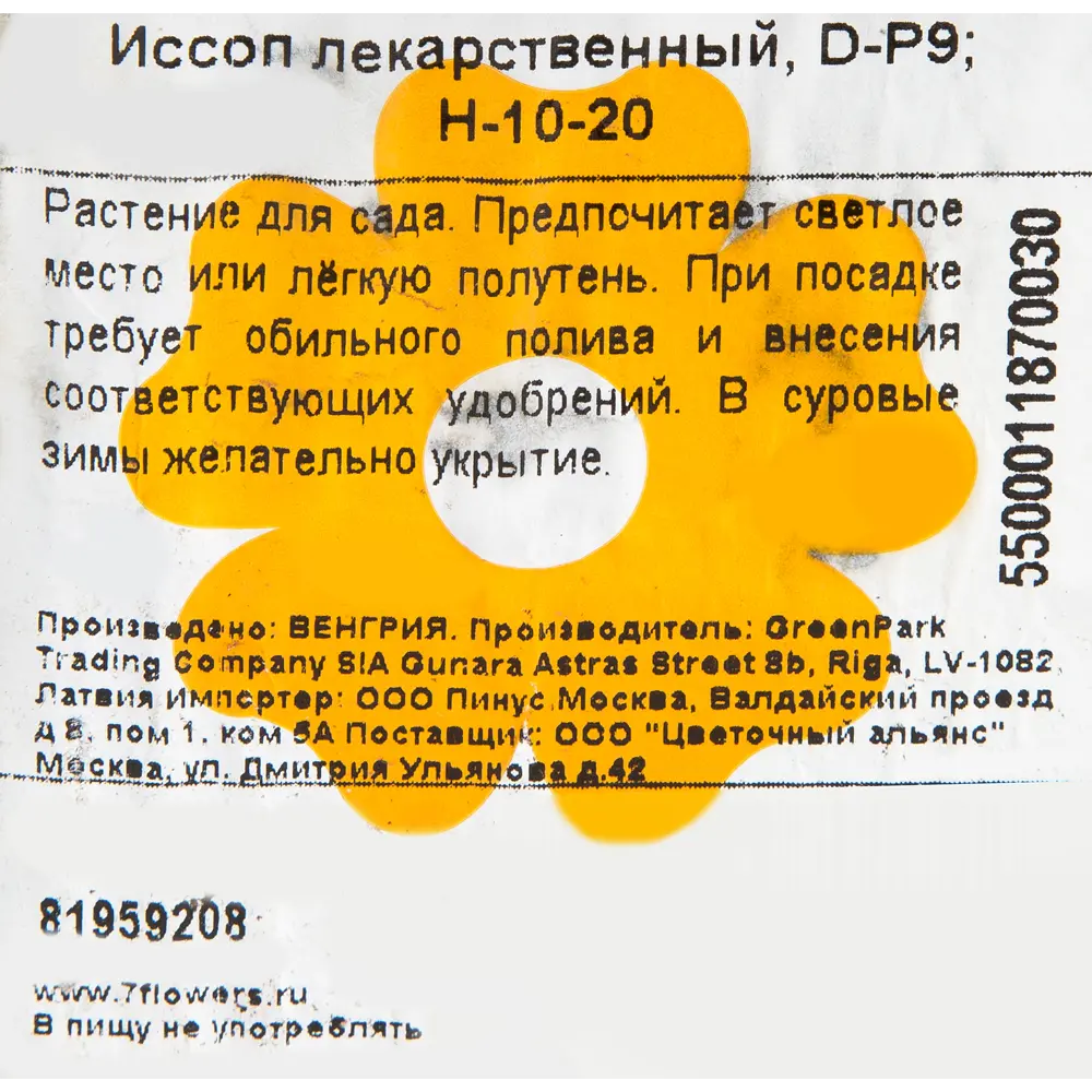 Иссоп лекарственный Р9 ✳️ купить по цене 271 ₽/шт. в Челябинске с доставкой  в интернет-магазине Леруа Мерлен