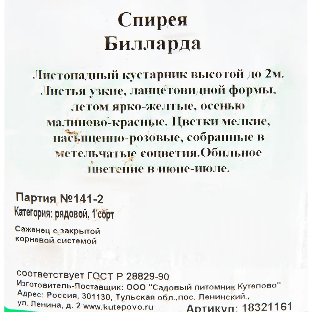 Спирея «Билларда С2», 40 см ✳️ купить по цене 477 ₽/шт. в Ульяновске с  доставкой в интернет-магазине Леруа Мерлен