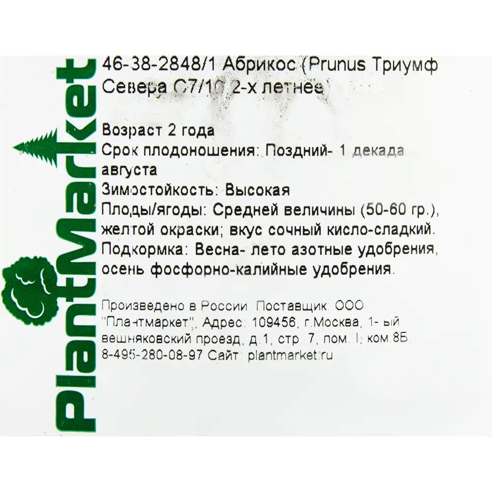 Абрикос «Триумф Северный», С7-С10, двухлетний ✳️ купить по цене 1555 ₽/шт.  в Москве с доставкой в интернет-магазине Лемана ПРО (Леруа Мерлен)