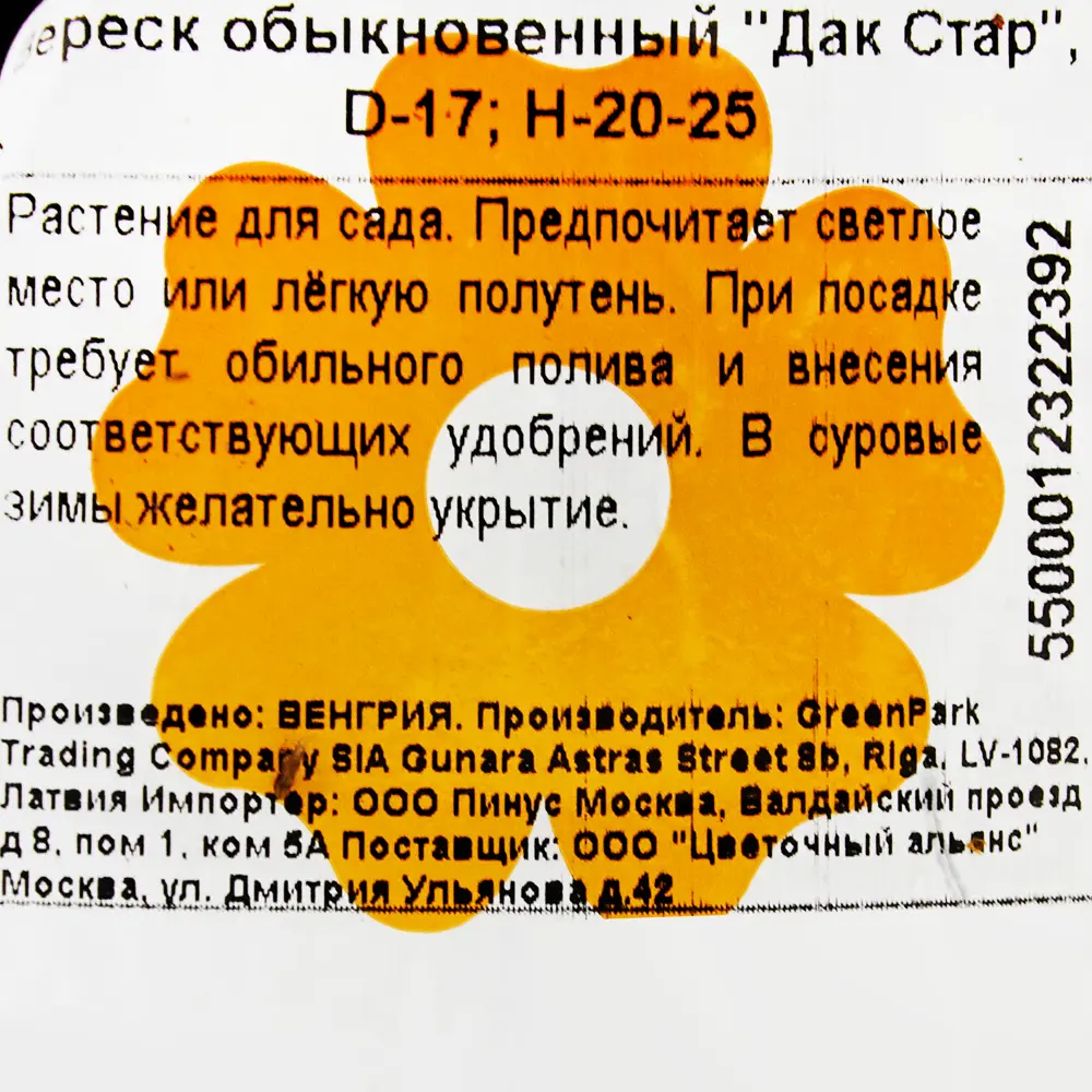 Вереск обыкновенный «Дак Стар» D17 20-25 см ✳️ купить по цене 618 ₽/шт. в  Челябинске с доставкой в интернет-магазине Леруа Мерлен