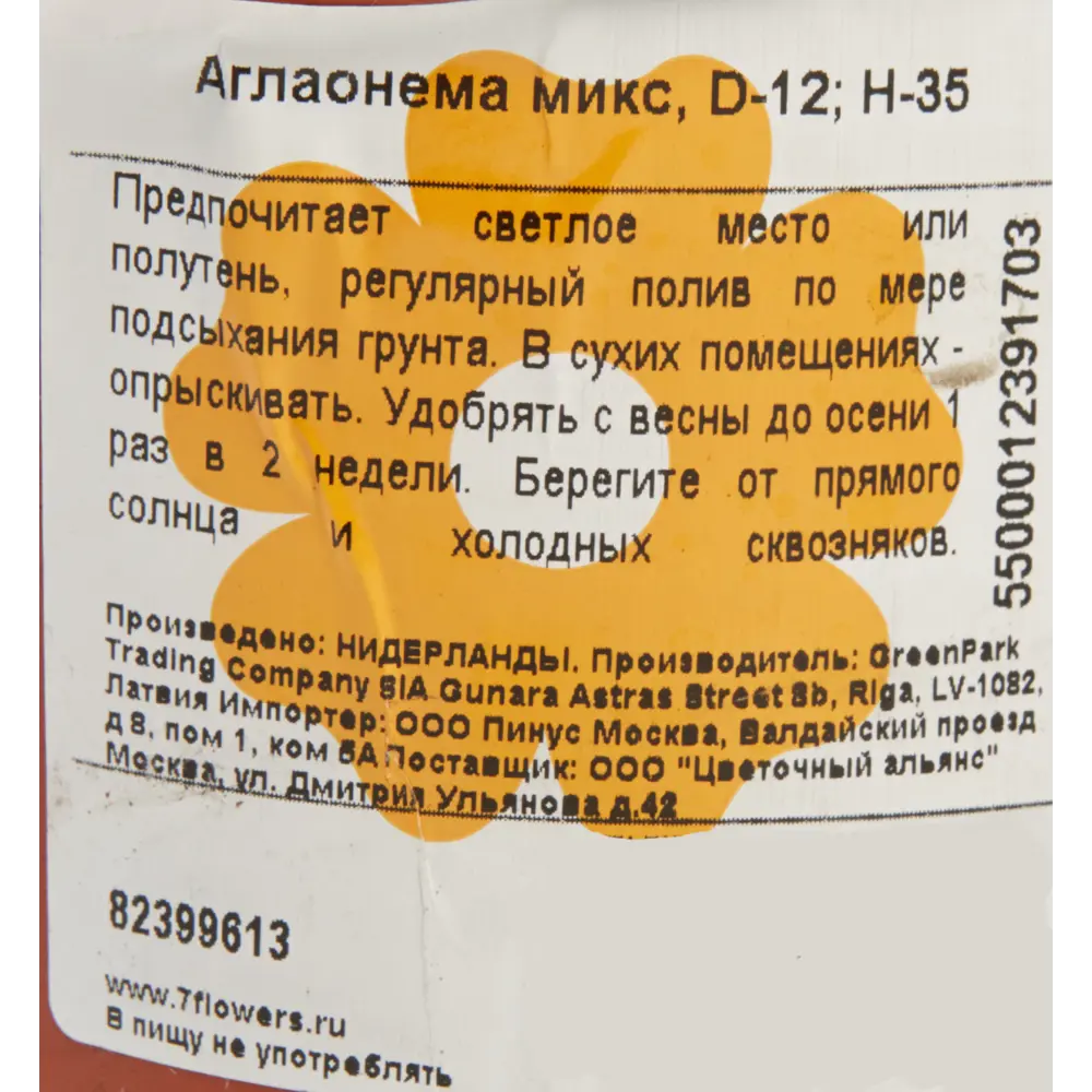 Аглаонема микс 12/20-35 см ✳️ купить по цене 1555 ₽/шт. в Волгограде с  доставкой в интернет-магазине Леруа Мерлен