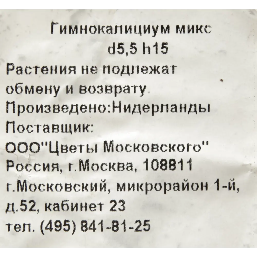 Гимнокалициум микс 5.5x15 см ✳️ купить по цене 198 ₽/шт. в Ульяновске с  доставкой в интернет-магазине Леруа Мерлен