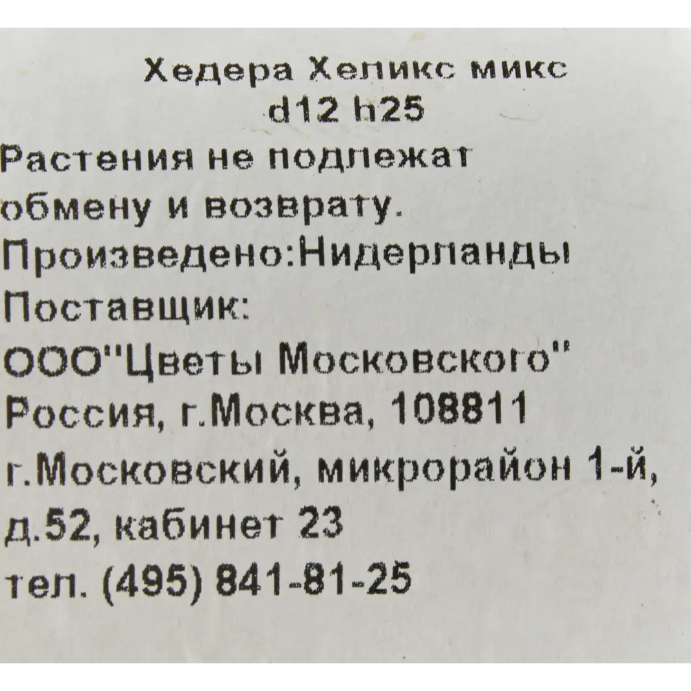 Хедера Хеликс микс 12x25 см ✳️ купить по цене 877 ₽/шт. в Москве с  доставкой в интернет-магазине Леруа Мерлен