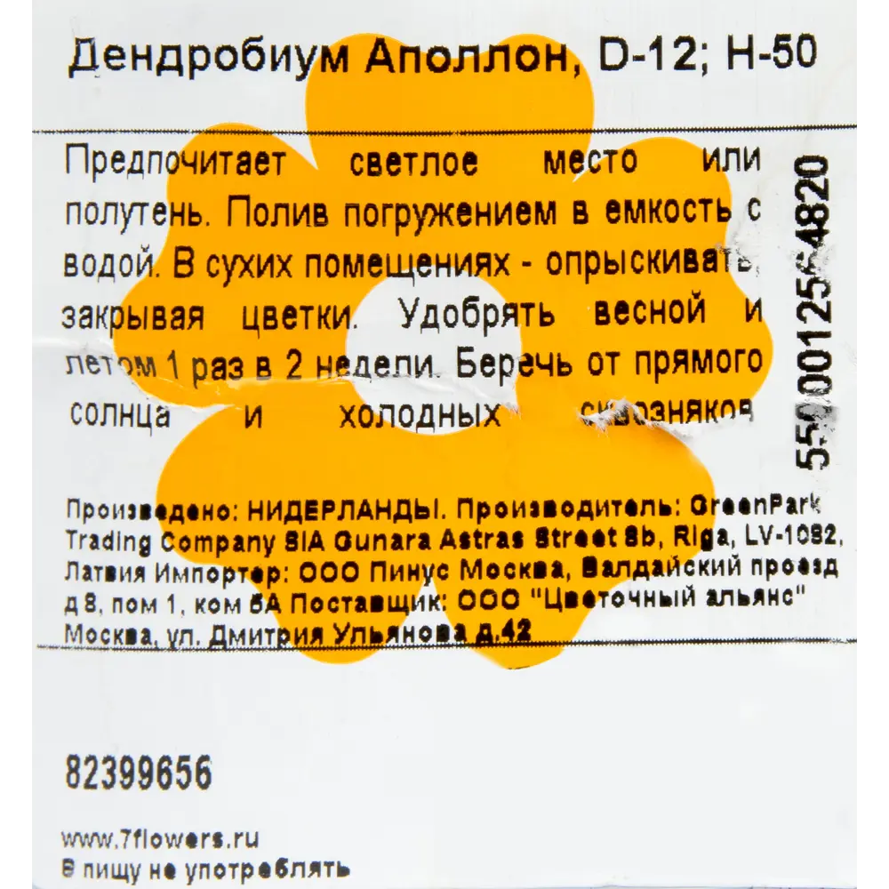 Орхидея Дендробиум Аполлон ø12 h50 см ✳️ купить по цене 2222 ₽/шт. в  Барнауле с доставкой в интернет-магазине Леруа Мерлен