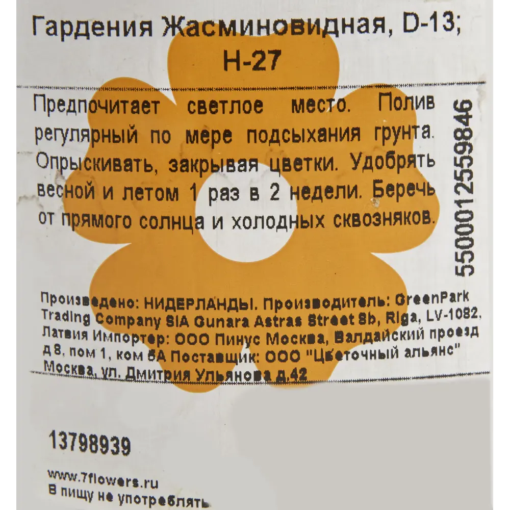 Гардения жасминовидная 13x30 см ✳️ купить по цене 1655 ₽/шт. в Нижнем  Новгороде с доставкой в интернет-магазине Леруа Мерлен