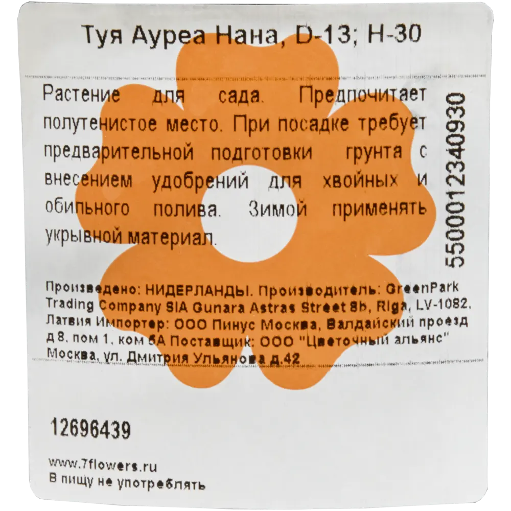 Туя Ауреа Нана, D13, H30 ✳️ купить по цене 498 ₽/шт. в Ставрополе с  доставкой в интернет-магазине Леруа Мерлен