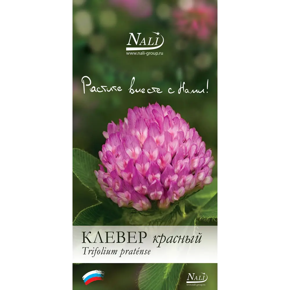 Семена сидерата «Клевер луговой красный» 1 кг ✳️ купить по цене 300 ₽/шт. в  Туле с доставкой в интернет-магазине Леруа Мерлен