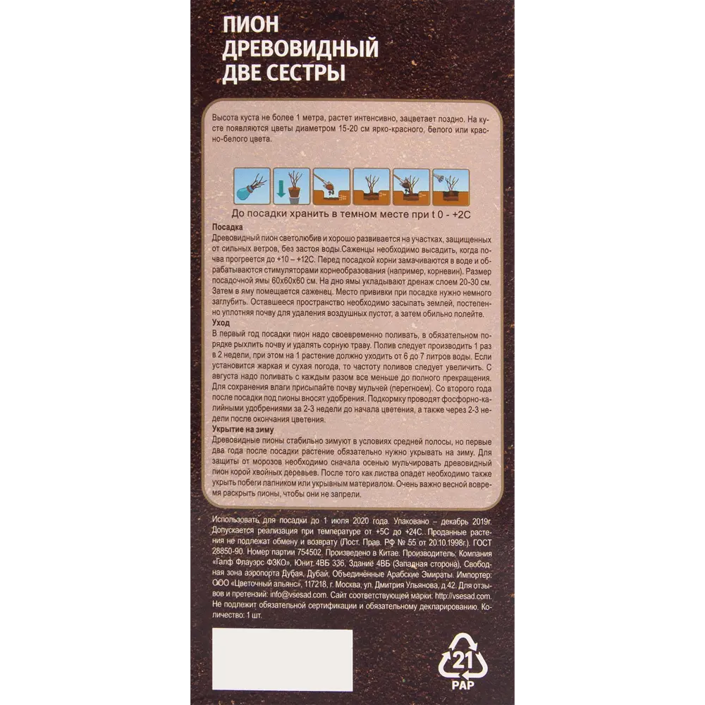 Пион древовидный привитый Две сестры в тубе ✳️ купить по цене 398 ₽/шт. в  Казани с доставкой в интернет-магазине Леруа Мерлен