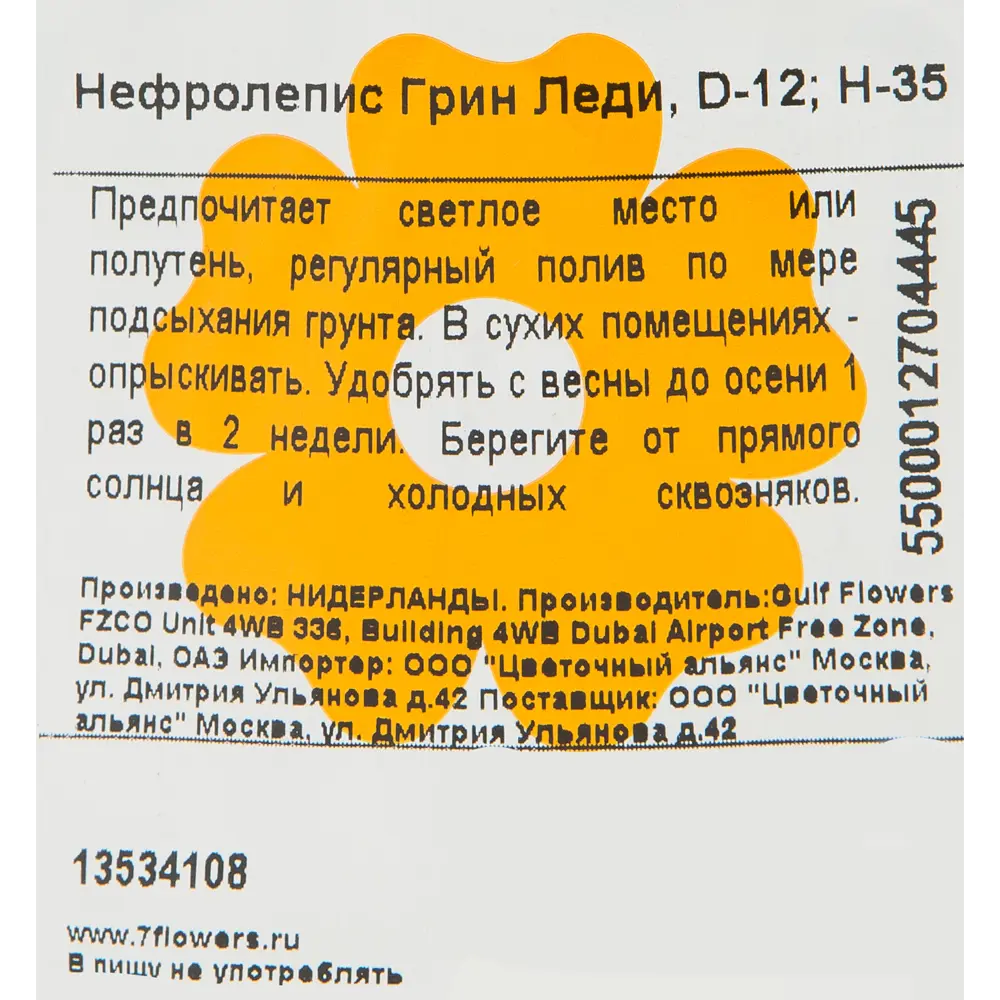 Нефролепис Грин Леди 12x37 см ✳️ купить по цене 998 ₽/шт. в Самаре с  доставкой в интернет-магазине Леруа Мерлен