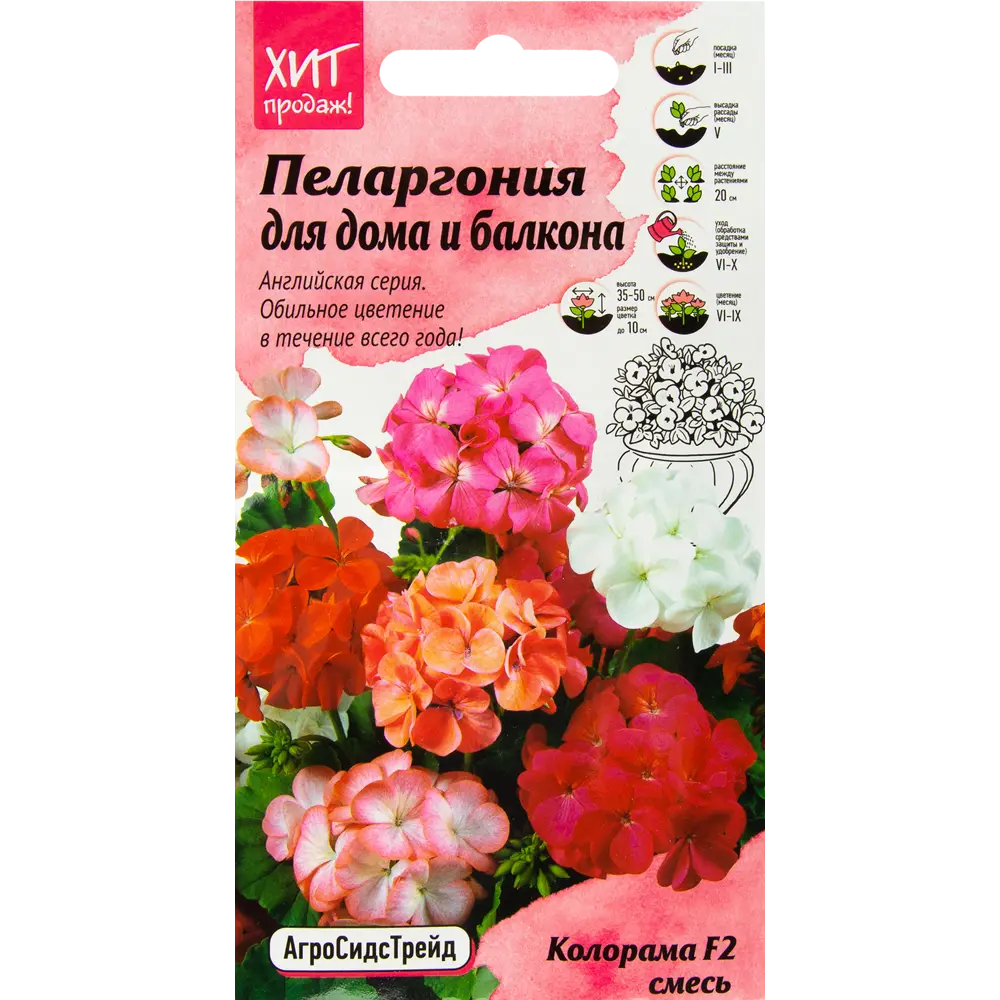 Пеларгония «Колорама» смесь окрасок F2 5 шт. ✳️ купить по цене 20 ₽/шт. в  Москве с доставкой в интернет-магазине Леруа Мерлен