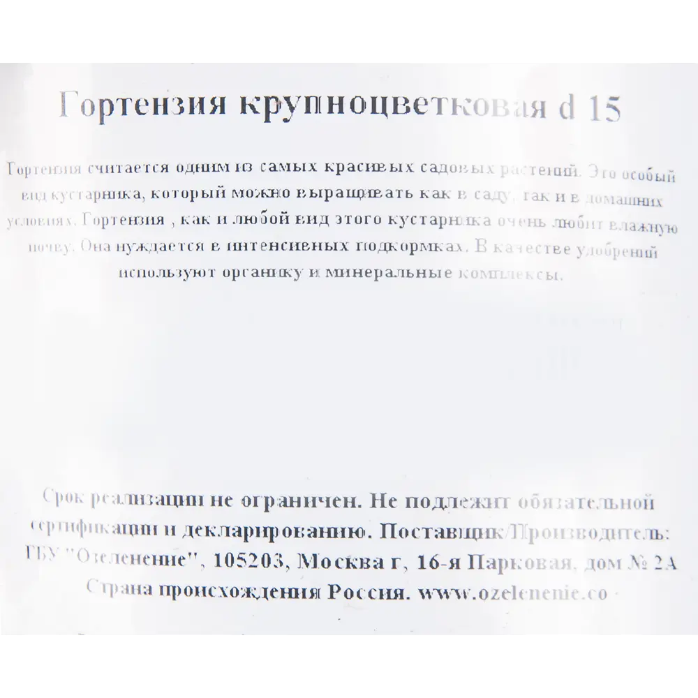 Гортензия садовая крупнолистная 15 см ✳️ купить по цене 1501 ₽/шт. в  Новороссийске с доставкой в интернет-магазине Леруа Мерлен