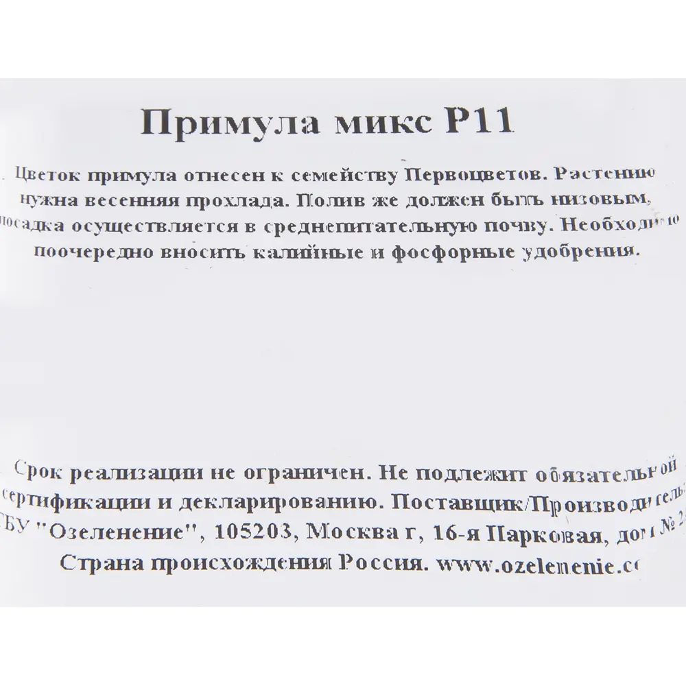 Примула микс 11x15 см ✳️ купить по цене 160 ₽/шт. в Тольятти с доставкой в  интернет-магазине Леруа Мерлен