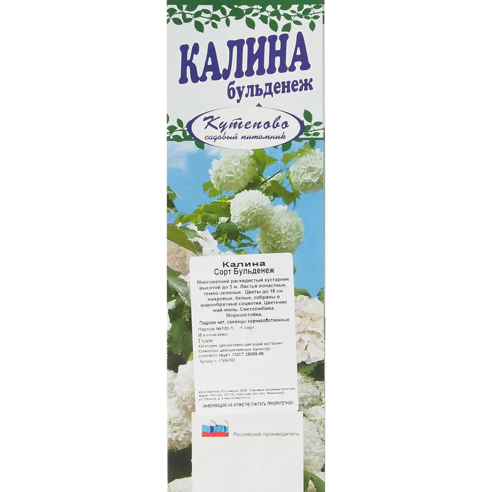 Калина Буль Де Неж в коробке по цене 477 ₽/шт. купить в Волгограде в  интернет-магазине Леруа Мерлен