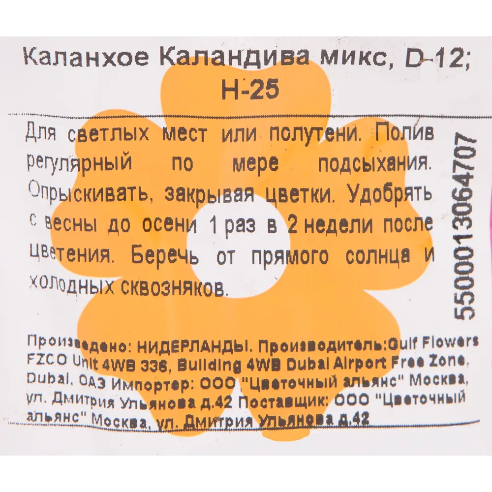 Каланхоэ каландива микс, 12x27 см ✳️ купить по цене 677 ₽/шт. в Нижнем  Новгороде с доставкой в интернет-магазине Леруа Мерлен