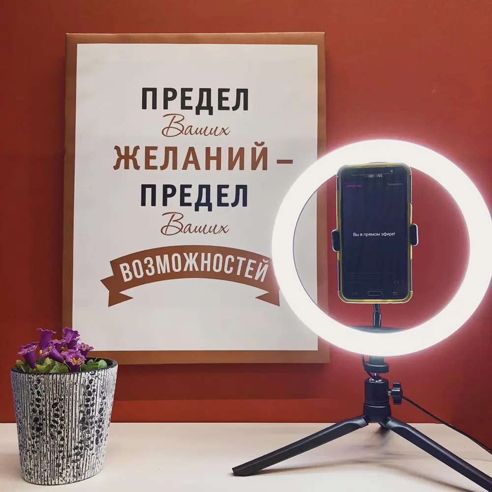 Светильник кольцевой светодиодный Gauss Ring Light Ø30 см с пультом  управления ✳️ купить по цене 1775 ₽/шт. в Екатеринбурге с доставкой в  интернет-магазине Леруа Мерлен