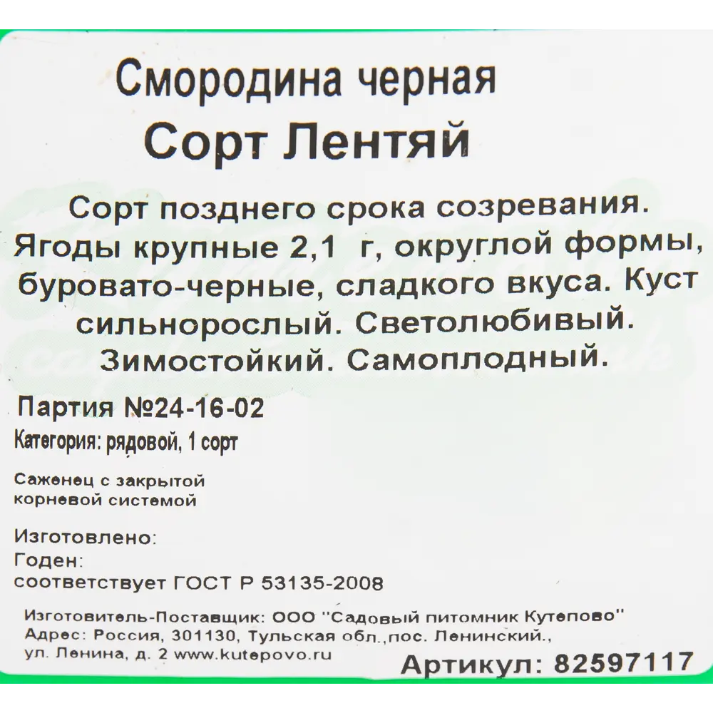 Смородина чёрная «Лентяй» C2 высота 40 см ✳️ купить по цене 498 ₽/шт. в Уфе  с доставкой в интернет-магазине Леруа Мерлен