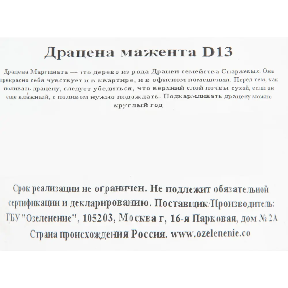 Драцена микс d13 н30 ✳️ купить по цене 475 ₽/шт. в Ульяновске с доставкой в  интернет-магазине Леруа Мерлен