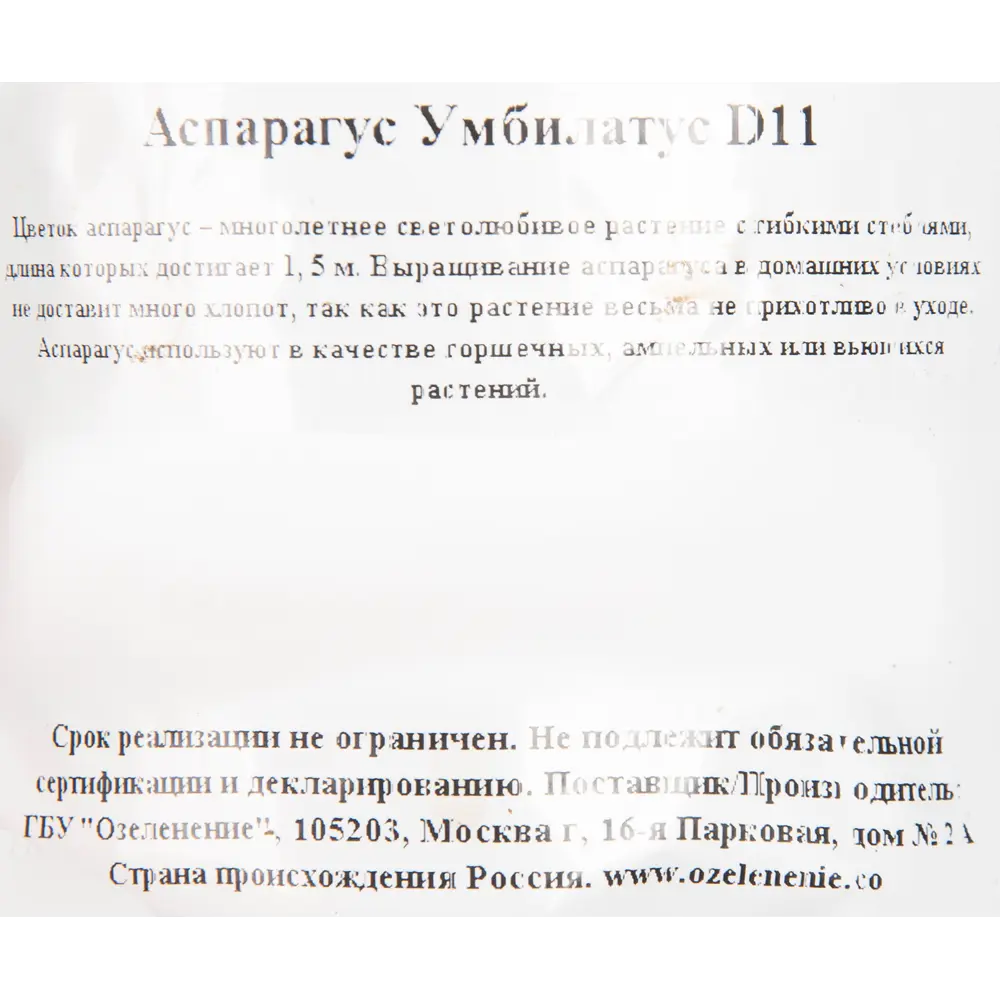 Аспарагус микс d11 h20 ✳️ купить по цене 381 ₽/шт. в Твери с доставкой в  интернет-магазине Леруа Мерлен