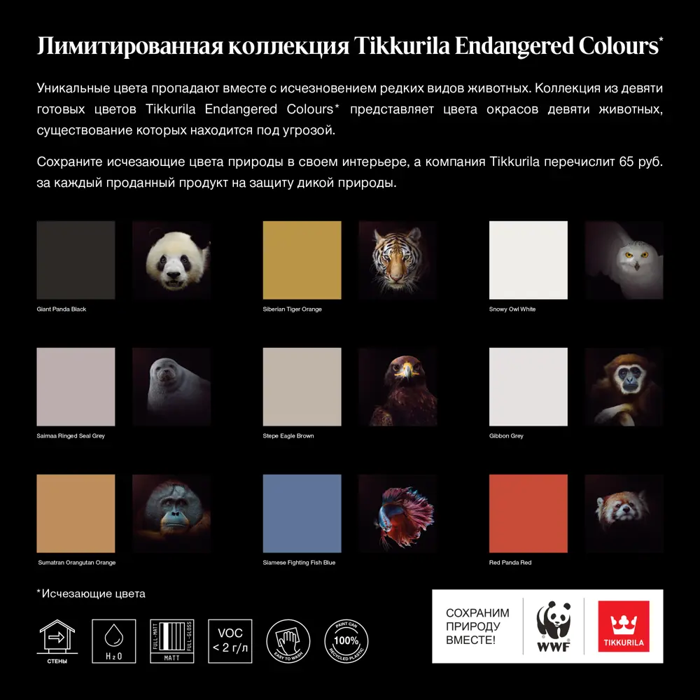 Краска интерьерная Tikkurila Endangered Colour Степной орел, цвет  коричневый 2.7 л ✳️ купить по цене 2707 ₽/шт. в Москве с доставкой в  интернет-магазине Леруа Мерлен