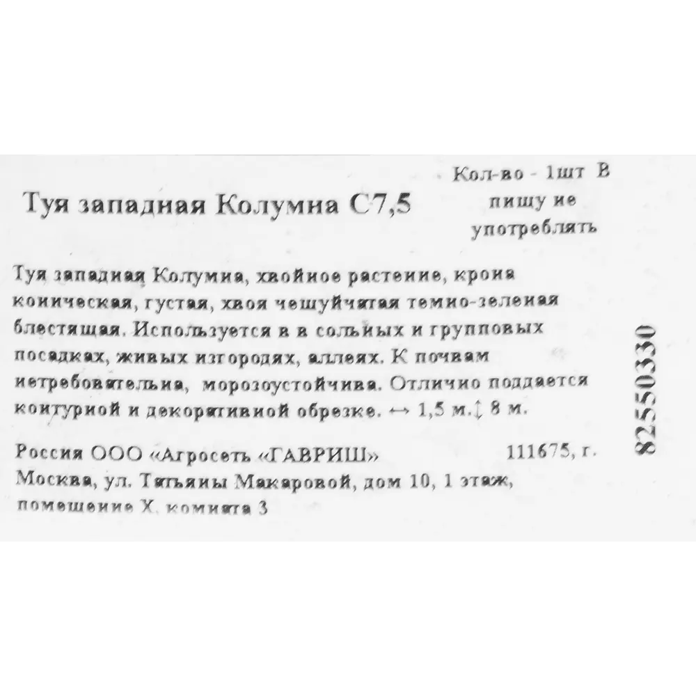 Туя западная «Колумна» 22x50 см ✳️ купить по цене 1238 ₽/шт. в Москве с  доставкой в интернет-магазине Леруа Мерлен