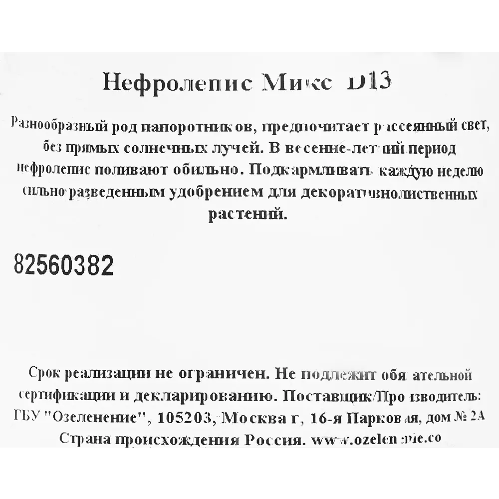 Нефролепис микс d13 h20 по цене 183 ₽/шт. купить в Новокузнецке в  интернет-магазине Леруа Мерлен